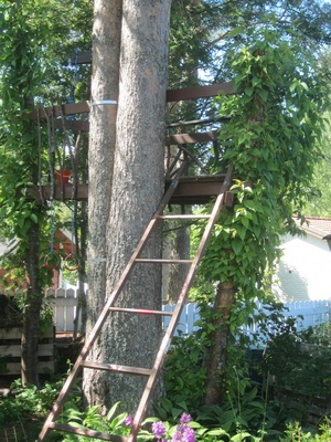 Petit projet d'été: cabane dans les arbres