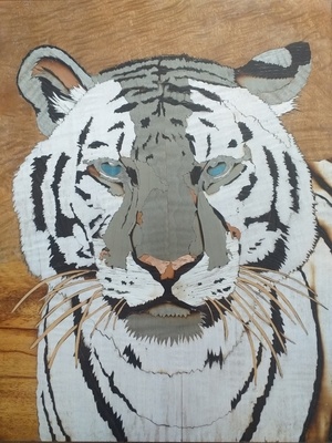 Tigre blanc Marqueterie Vernis