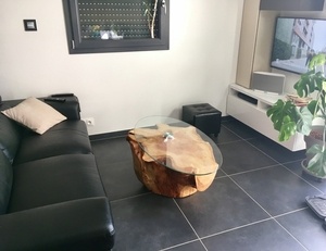 Table basse souche