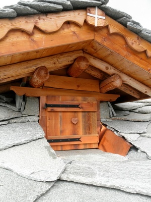 Habillage d'une jacobine