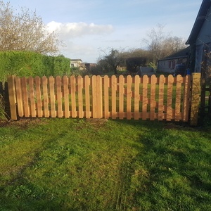 Portail et portillon douglas