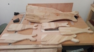 Des baleines à présenter !