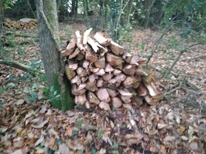 Bois de chauffage - hache et banc d'établi !