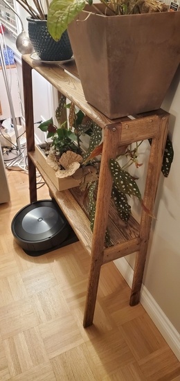 Étagère pour plantes