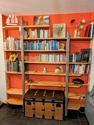 Bibliothèque du spitzbuewe avec échelle en bois