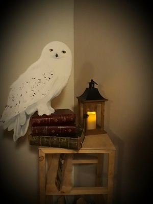 Hedwige chantournage