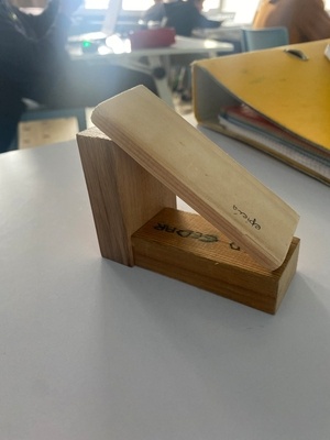 Début de ma première xylothèque