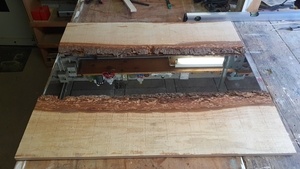 Live edge mirror => Bois brut