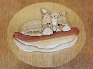 Le chat dans son couffin