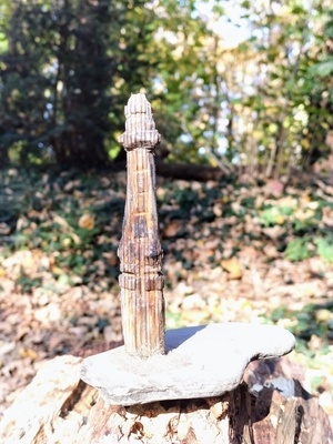 Gardien maritime esseulé