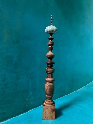 Oursin qui prend de la hauteur