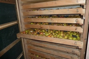 Stockage pommes
