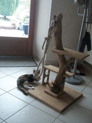 Arbre à chat original!