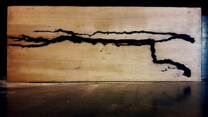 /!\ IMPORTANT : bien lire les commentaires /!\ - Dragon électrique