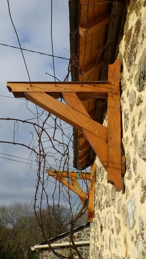 Raisin Blanc charpenté