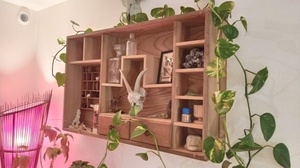 Cabinet de curiosité