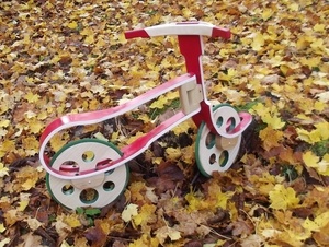 Draisienne d'automne