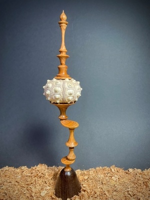 Ornement test d’oursin …..excentré