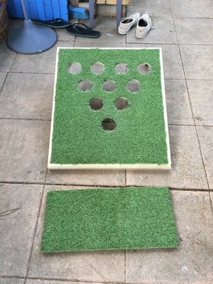 Golf Pong