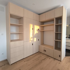 Dressing/bibliothèque/meuble tv