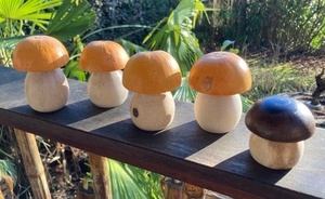 Champignons « boule d’or »