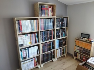 Bibliothèque BD en OSB
