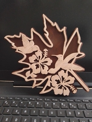 Colibri sur feuille d'érable