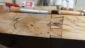 Queues d'arondes à la main