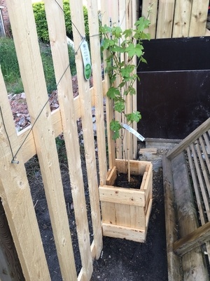 Clôture de 60 mètres