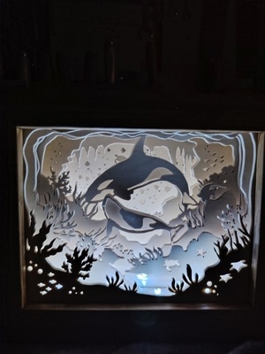 Light box animaux marins.