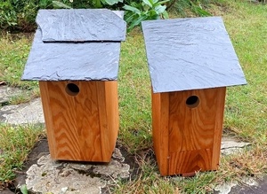 Un couple de nichoirs à mésange