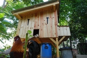 Poule house