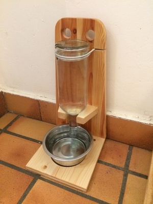 Bistrot "happy hour" pour chat-soifé