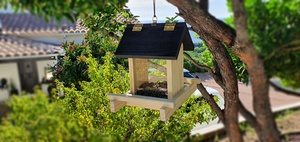 Mangeoire oiseaux en pins et plexiglass