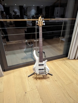 Guitare Basse 5 cordes