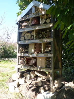 Hôtel à insectes et à hérisson