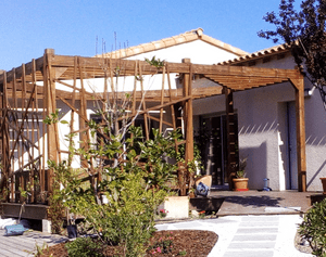 Structure Brise-soleil en Douglas