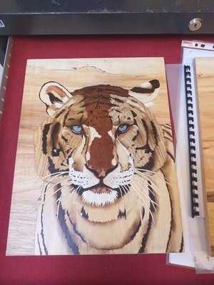 Concours du meilleur apprenti de France marqueterie