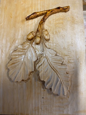 Les deux feuilles et les trois glands ...!