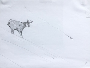 exemple esquisse chamois, penser au sens du bois