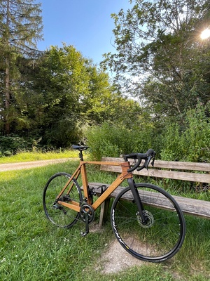 Vélo en bois