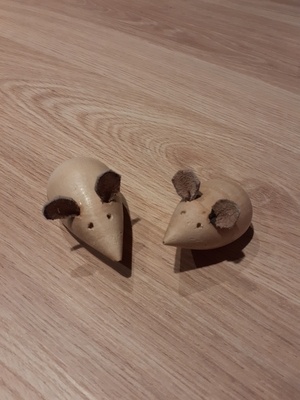 1er essai tournage de souris.