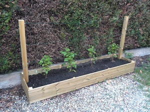 Bac pour framboisiers