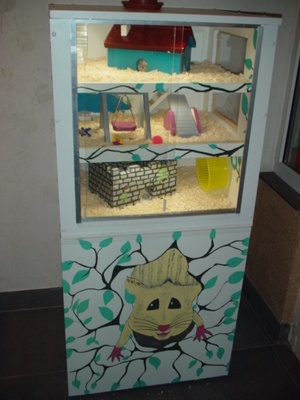 Maison à hamsters