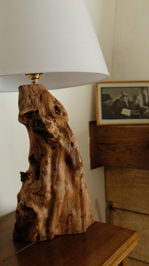 Quelques pieds de lampe