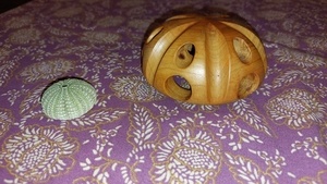 Exosquelette marin en multiaxes