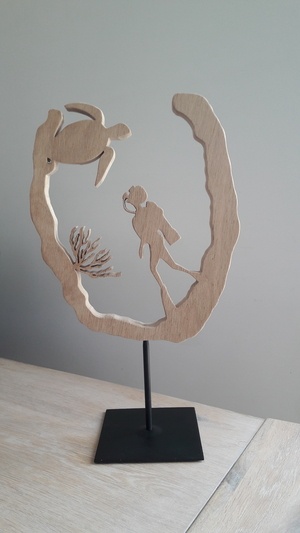 Tortue de mer observée