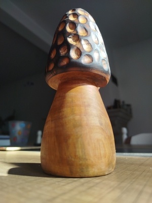 Une "petite" morille