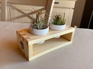 Supports en sapin pour air plantes