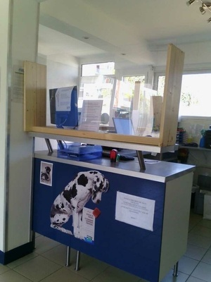 Protection covid 19 vétérinaire